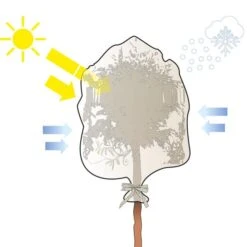 Thermobeschermhoes XXL Voor Planten - 300 × 200 Cm -Tuin & Buiten 1639494118 4 600