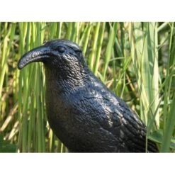 Duivenverjager Kraai 9 Duivenverjager Kraai -Tuin & Buiten duivenverjager kraai 1484053985 3 600