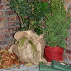 Jutezak - Naturel - 60 × 80 Cm -Tuin & Buiten jutezak 60 x 80 naturel 1486635322 0 600