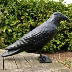 Duivenverjager Kraai Roepend -Tuin & Buiten kraai met geluid 1523289337 4 600