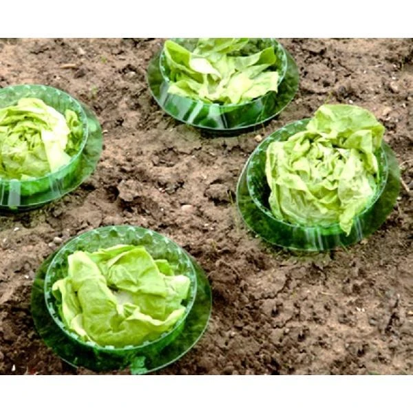 Slakken Beschermringen - Set Van 6 Stuks 4 Slakken Beschermringen - Set Van 6 Stuks - Afbeelding 2