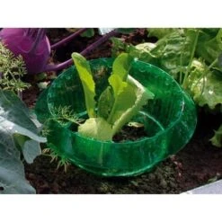 Slakken Beschermringen - Set Van 6 Stuks 7 Slakken Beschermringen - Set Van 6 Stuks -Tuin & Buiten slakken beschermingsringen 1484053655 3 600