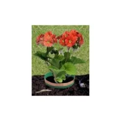 Tuin & Buiten -Tuin & Buiten slakkenringen koper 1484053248 2 600