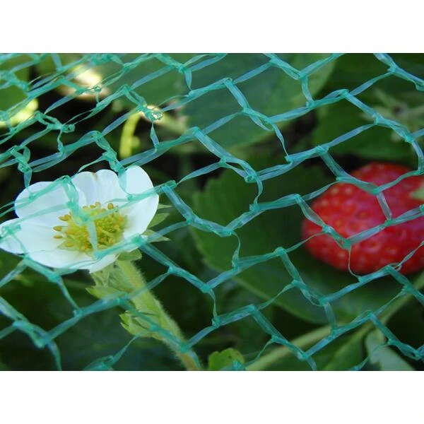 Tuinnet Fijnmazig - Licht 2 M × 5 Meter 3 Tuinnet Fijnmazig - Licht 2 M × 5 Meter