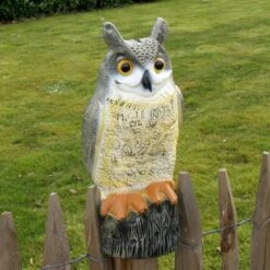 Uil Front - Vogelverschrikker