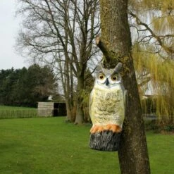 Uil Front - Vogelverschrikker -Tuin & Buiten uil front vogelverschrikker 1523282297 1 600
