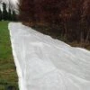 Vliesdoek - 5 × 1,6 Meter - 30 G/m² 1 Vliesdoek - 5 × 1,6 Meter - 30 G/m² -Tuin & Buiten vliesdoek 16 x 5 m 1519386814 1 600
