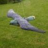 Torenvalk Als Vogelschrik -Tuin & Buiten vogelverjager torenvalk 1484053531 1 600