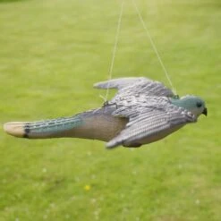 Torenvalk Als Vogelschrik -Tuin & Buiten vogelverjager torenvalk 1492582163 3 600