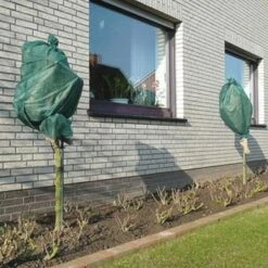 Rozen Winterhoezen - Groen - Set Van 2 Stuks -Tuin & Buiten winterhoes rozen groen 1484054071 3 600