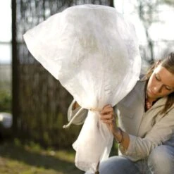 Vorsthoes Rozen - 80 × 75 Cm - Set Van 2 Stuks -Tuin & Buiten wintervlies rozen 1486656722 0 600