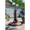 Beschermhoes Voor Wortel Palmboom -Tuin & Buiten wortelbescherming palmboom 1484056031 1 600