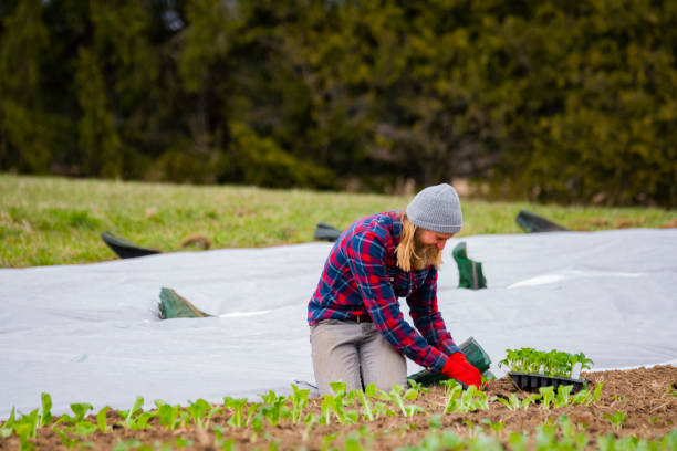 Tuin & Buiten -Tuin & Buiten istockphoto 1220981032 612x612 1